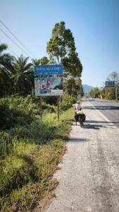 Cycling Satun, Thailand