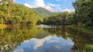 Thailand close to Trang